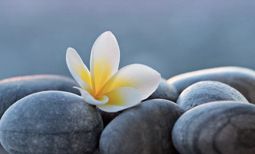 Calming Room